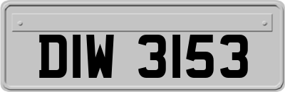 DIW3153