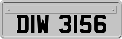 DIW3156