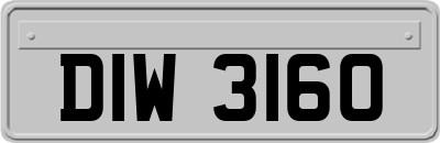 DIW3160
