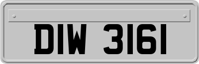 DIW3161