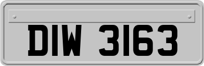 DIW3163
