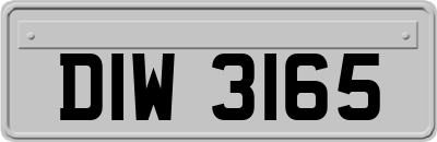 DIW3165