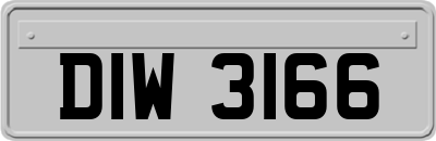 DIW3166