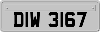 DIW3167