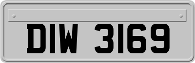 DIW3169