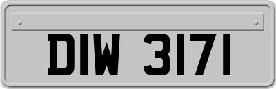 DIW3171