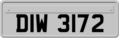 DIW3172