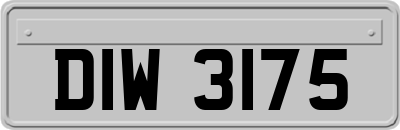 DIW3175