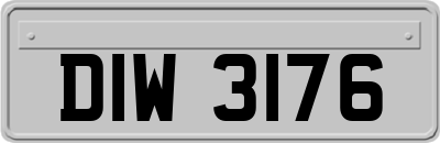 DIW3176