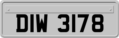 DIW3178