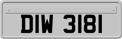 DIW3181