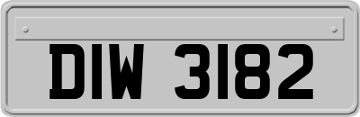 DIW3182