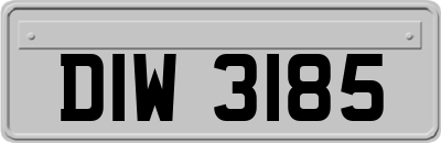 DIW3185