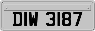 DIW3187