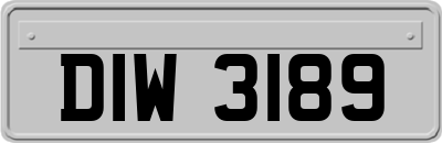 DIW3189