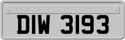 DIW3193