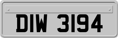 DIW3194