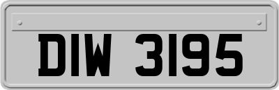 DIW3195