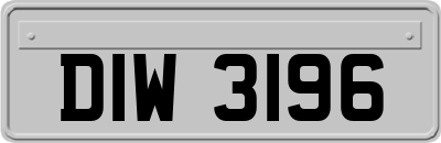 DIW3196