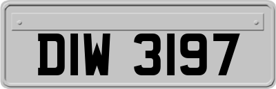 DIW3197