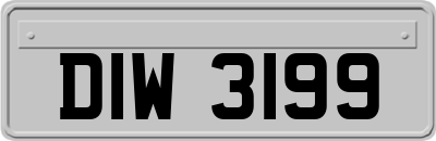 DIW3199