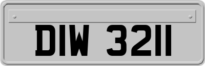 DIW3211