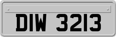 DIW3213