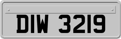 DIW3219
