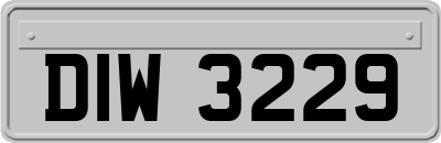 DIW3229