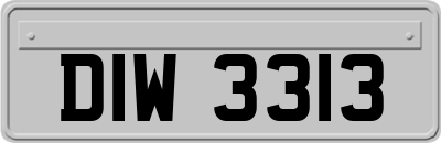 DIW3313