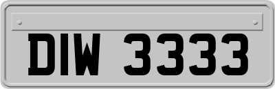 DIW3333