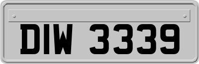 DIW3339
