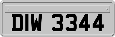 DIW3344