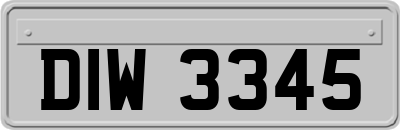 DIW3345