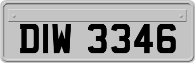 DIW3346