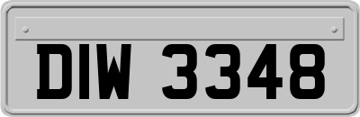 DIW3348