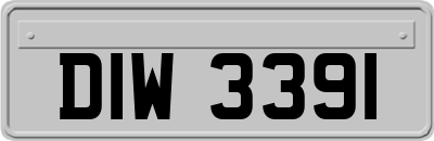 DIW3391