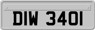DIW3401
