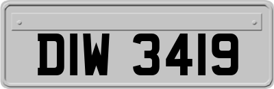 DIW3419