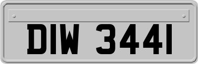 DIW3441