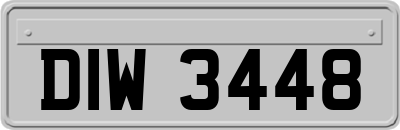 DIW3448