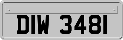DIW3481