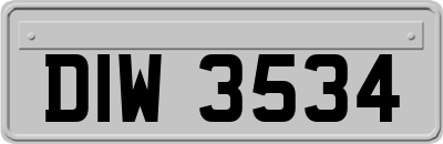 DIW3534