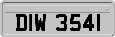 DIW3541