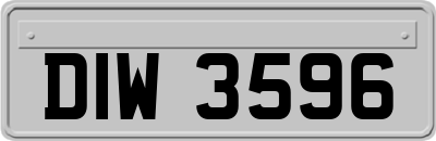DIW3596