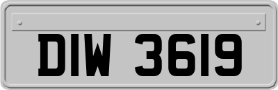 DIW3619