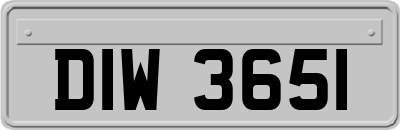 DIW3651