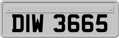 DIW3665