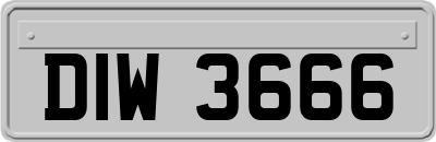 DIW3666