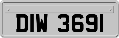 DIW3691
